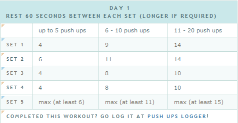 pushup workout program