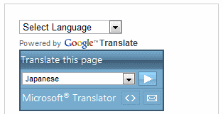 Translation your website