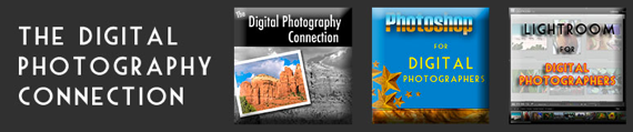 free digital photography tutorials