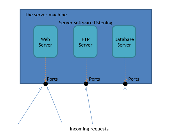 definition of client server network