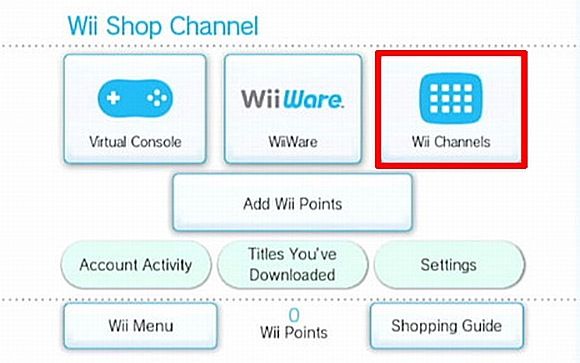wii connect internet