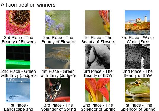 free photo contests