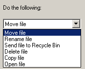 file management software