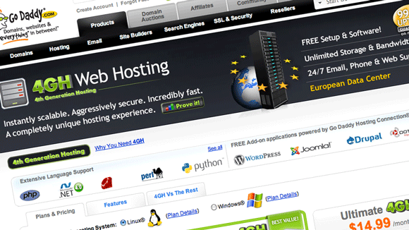 what is a web hosting company