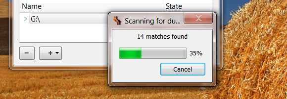 remove duplicate files