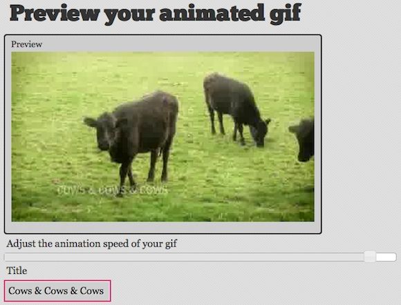convert youtube video to gif