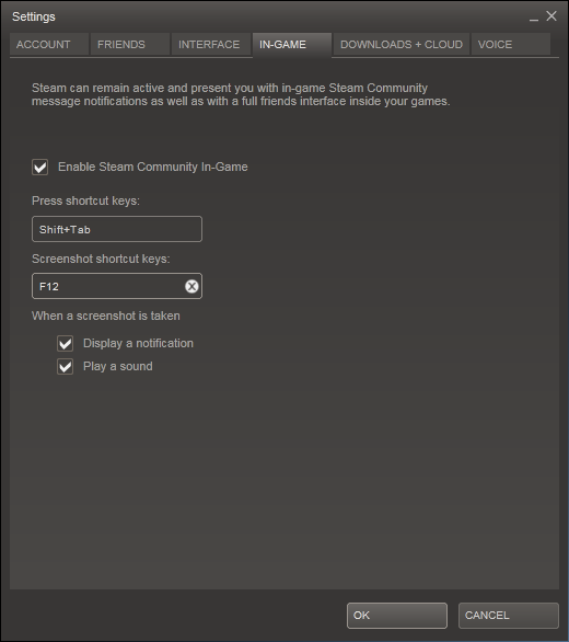 Configuring a shortcut key for screengrabs in Steam