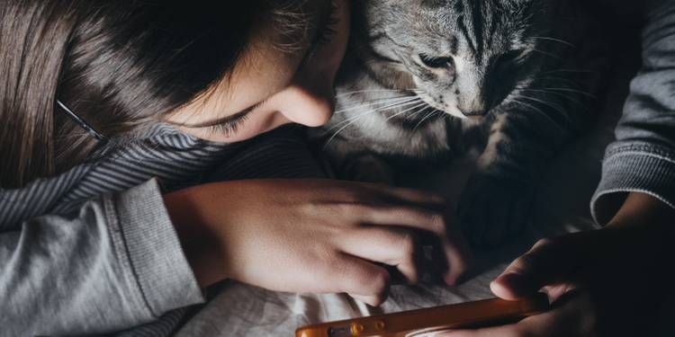 7 Cat Games For Your Ipad Or Android Tablet 7 Cat Games For Your Ipad Or Android Tablet