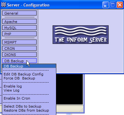 your own web server