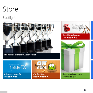The Windows 8 app store