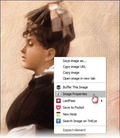 image properties chrome extension