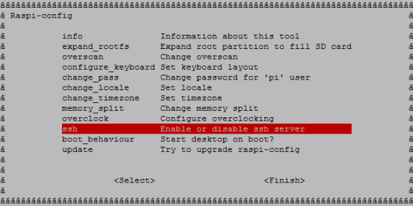 Is Your Raspberry Pi Safe and Secure?
