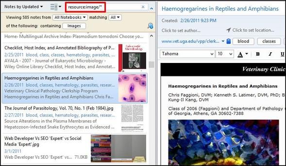 20 Evernote Search Features You Should Be Using