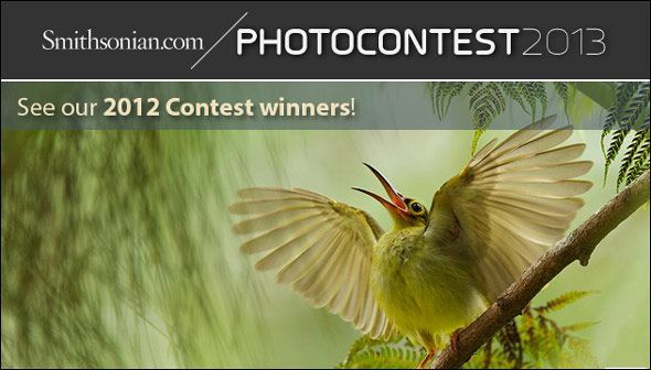 free photography contests