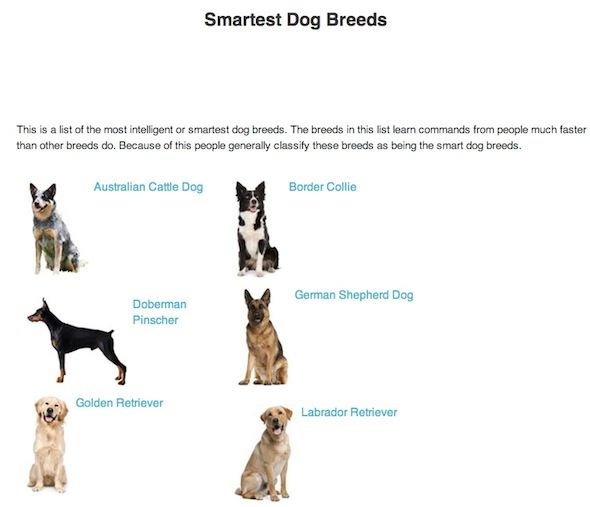 dog breed selector