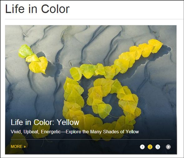 color in photography