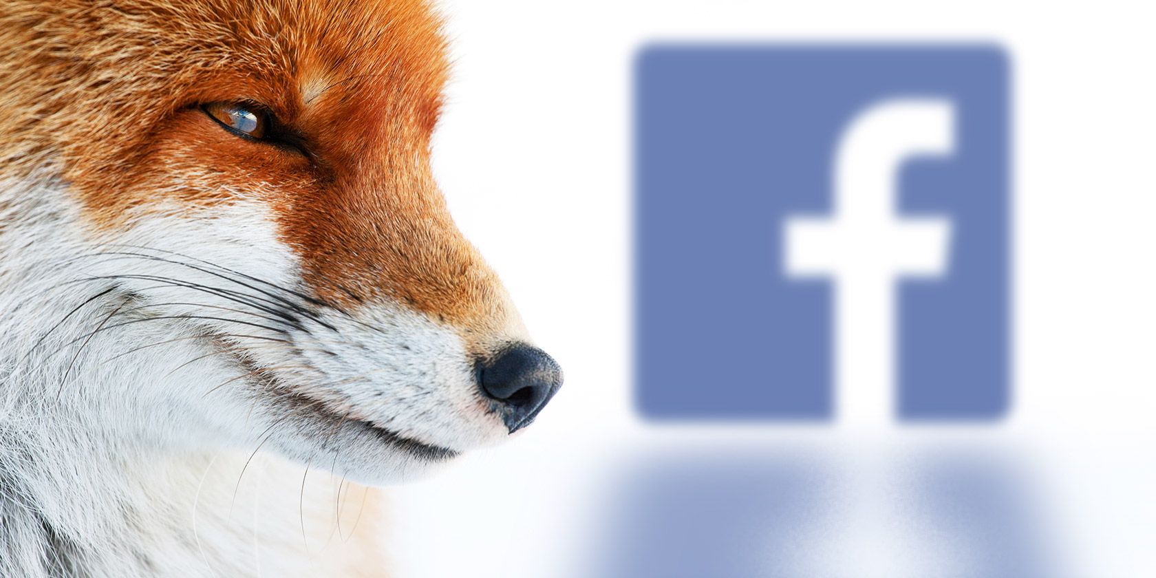 fox-facebook