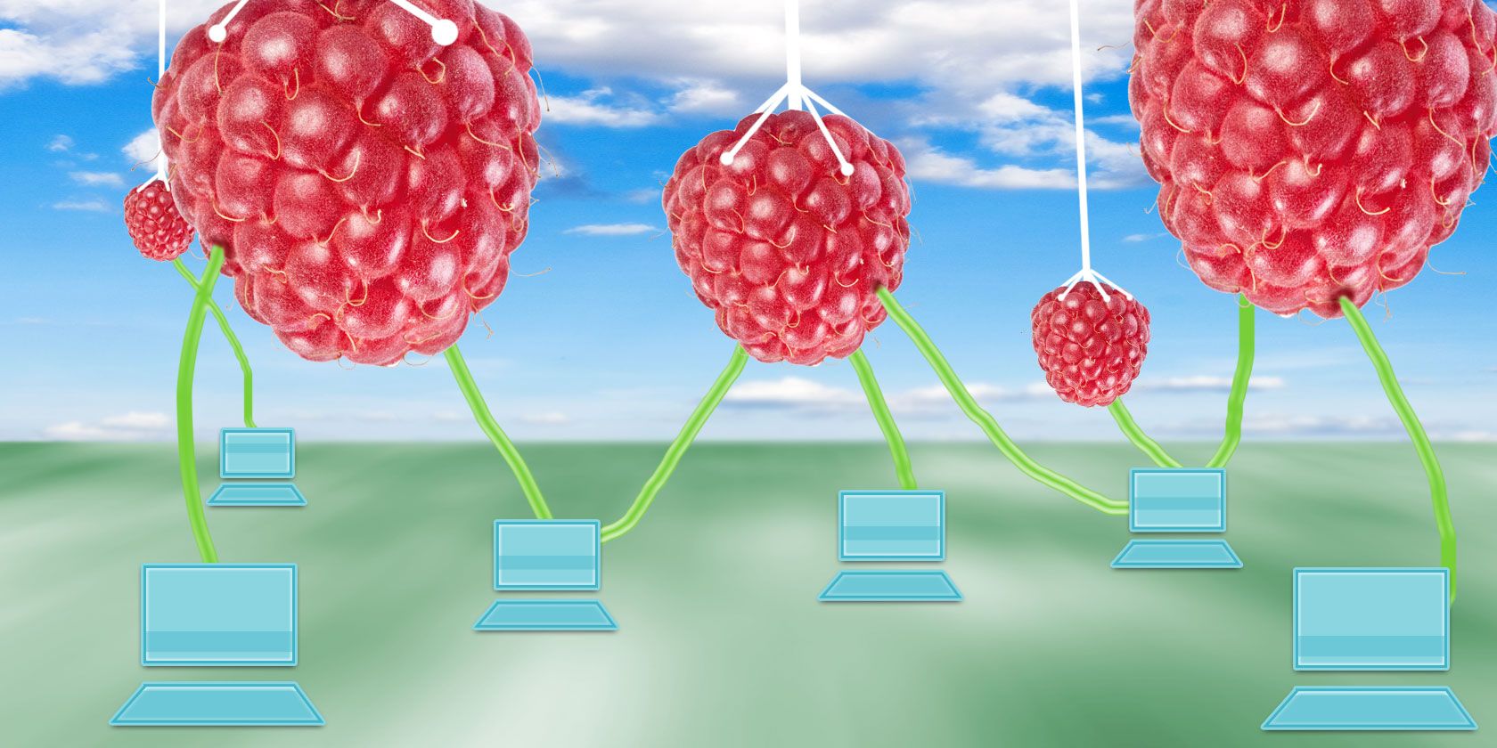 raspberry-network