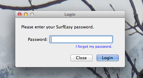surfeasy-password