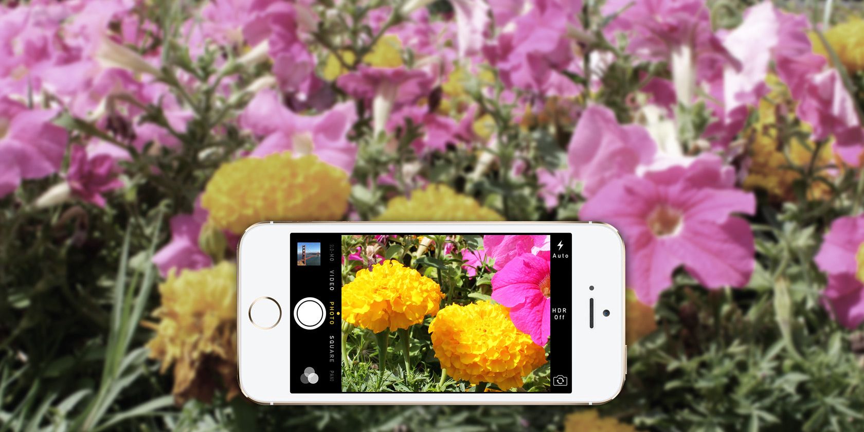 Apple Changed The Camera App In iOS7: Here’s What You Need To Know
