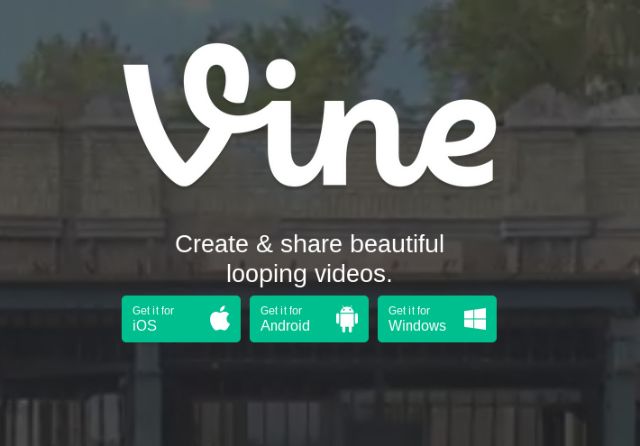 vine-on-the-web