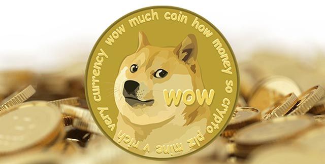 dogecoin-what-can-i-do