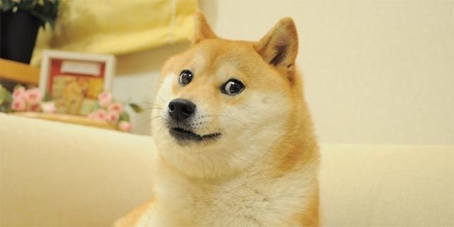 dogecoin-what-is-doge