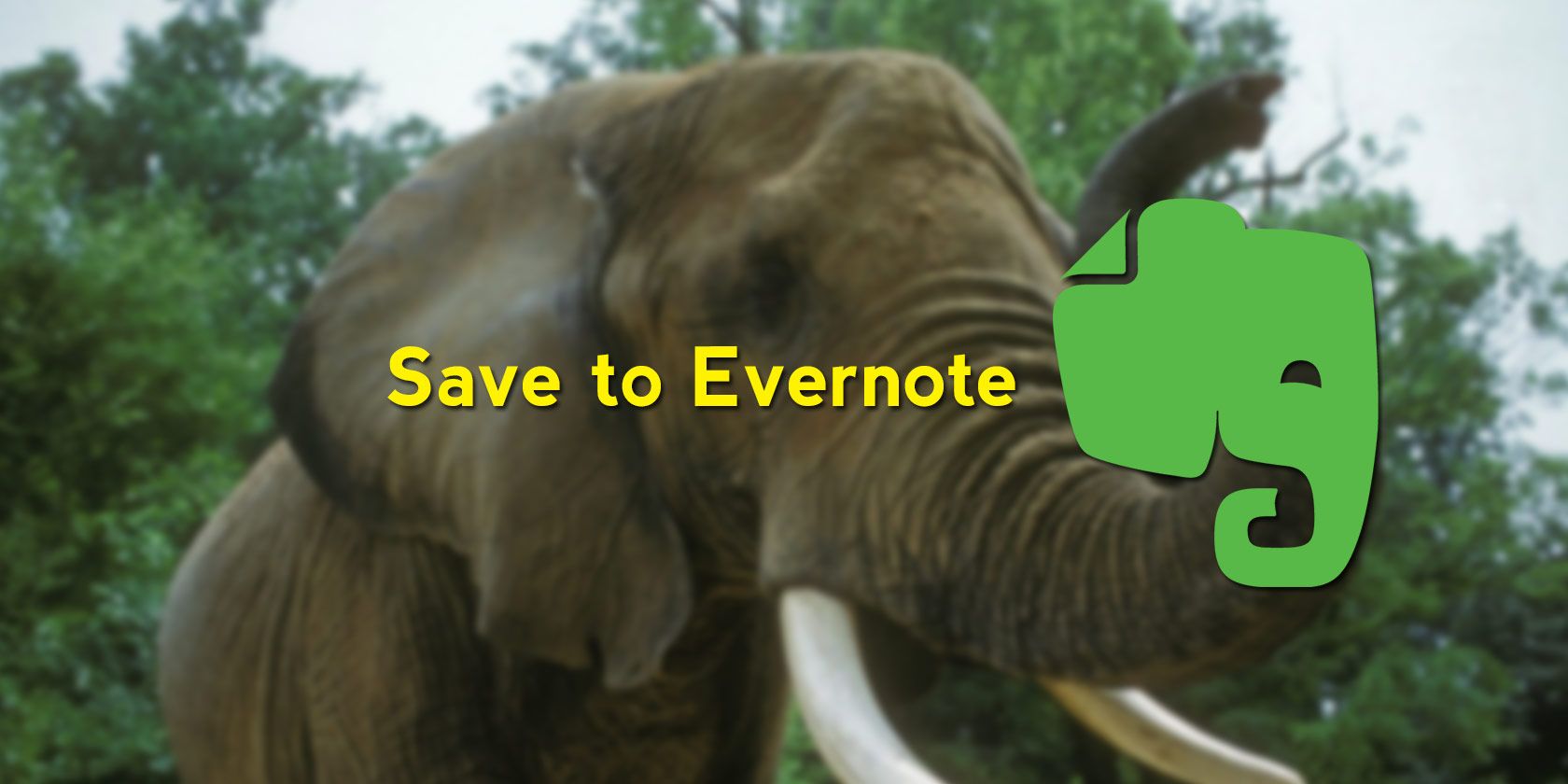 save-evernote