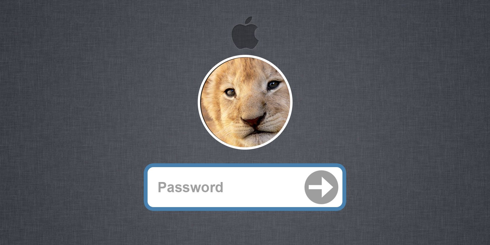 password reset for mac yosemite