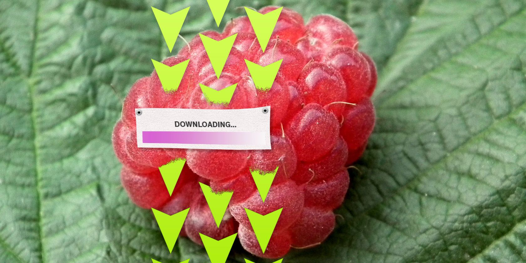 raspberry-downloading