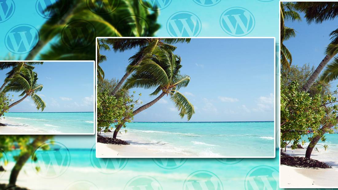 The Complete Guide to Featured Thumbnails and Image Sizes in WordPress