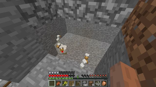 The chicken hole, a fun diversion when you have too many eggs
