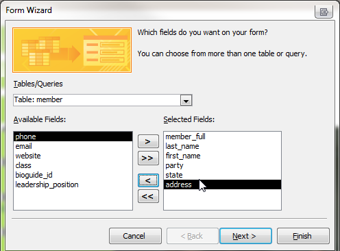 Access 2013 Form Wizard options