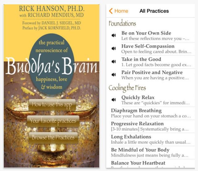 buddhas brain app