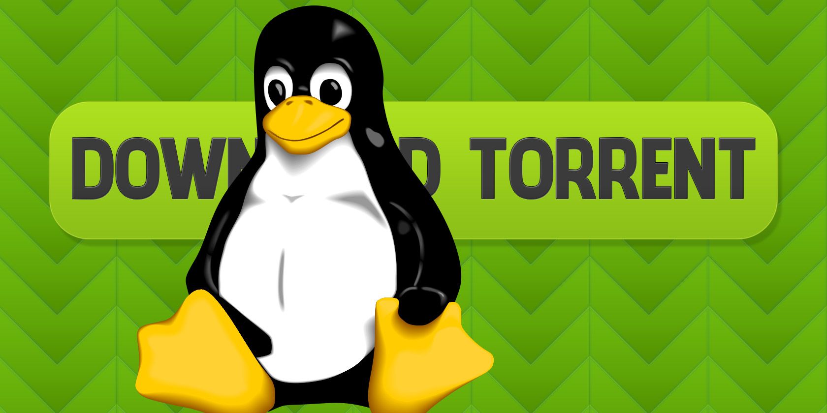 best torrent software for privacy