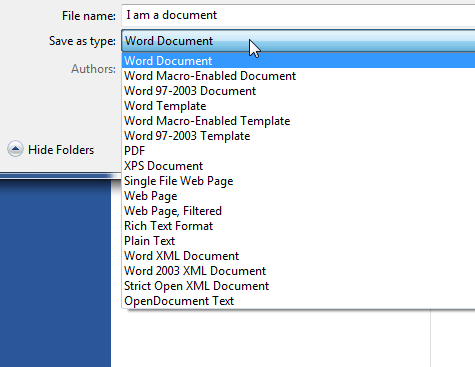 Word 2013 File Types