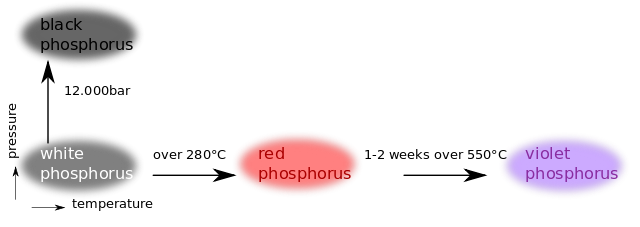 Phosphorus-Allotropes.svg