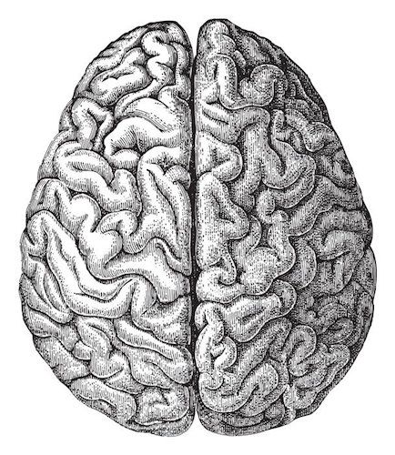 dementiapiece-brain