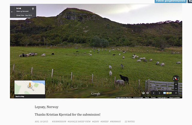 google-sheep-view