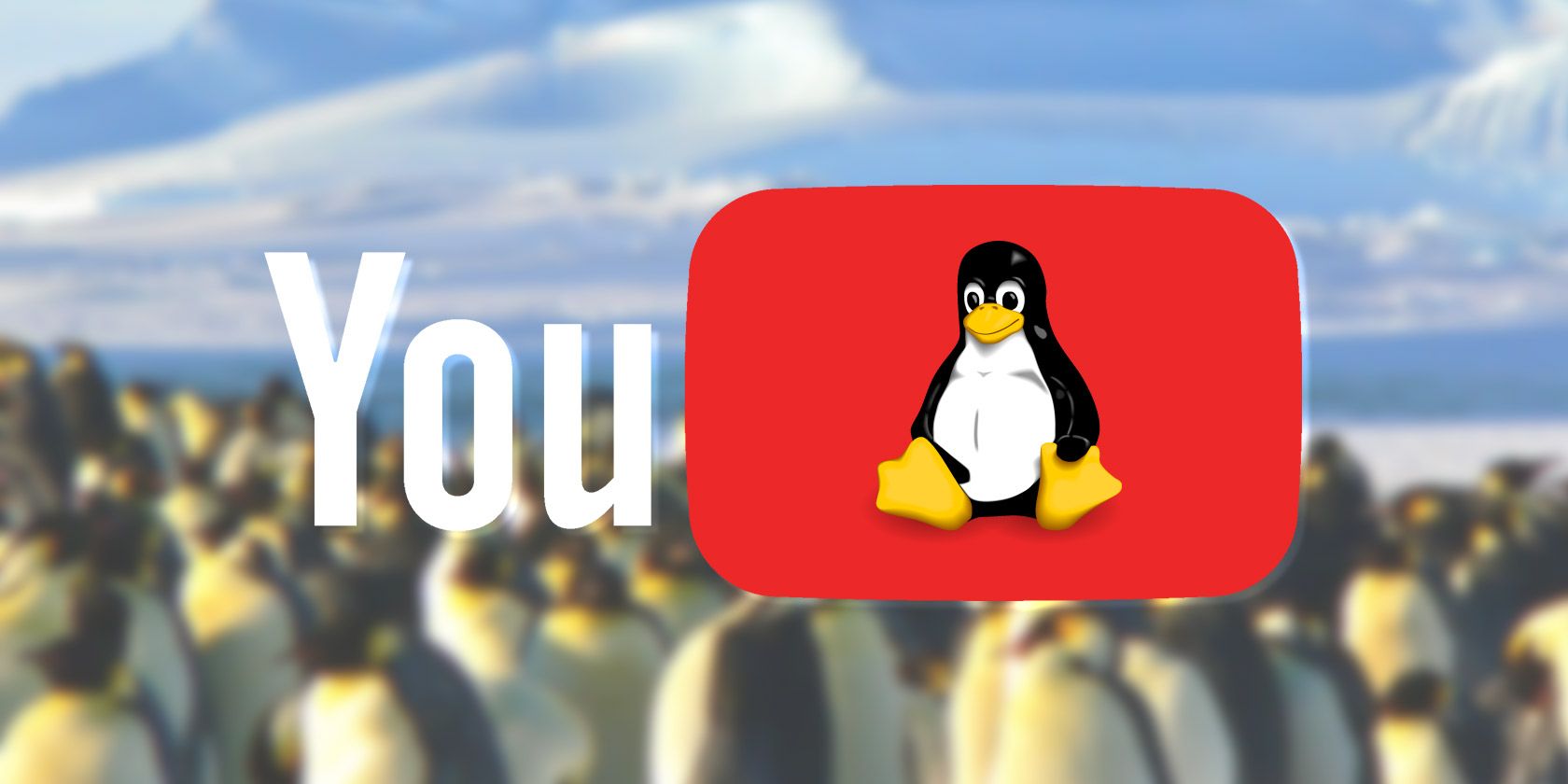 youtube download linux