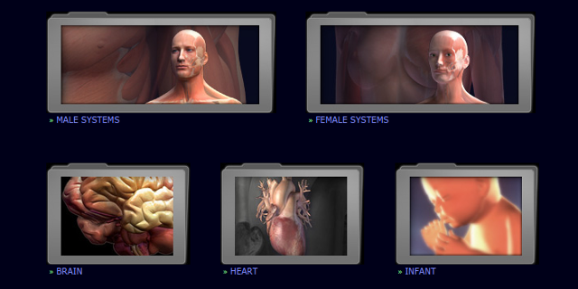 3d-anatomy-models-3dscience