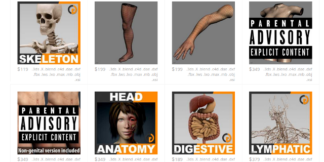 3d-anatomy-models-cgstudio