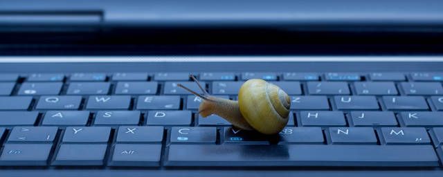 Snail on laptop keyboard