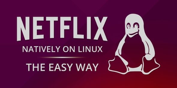 newsletter-netflix-on-linux-easy-way-muo