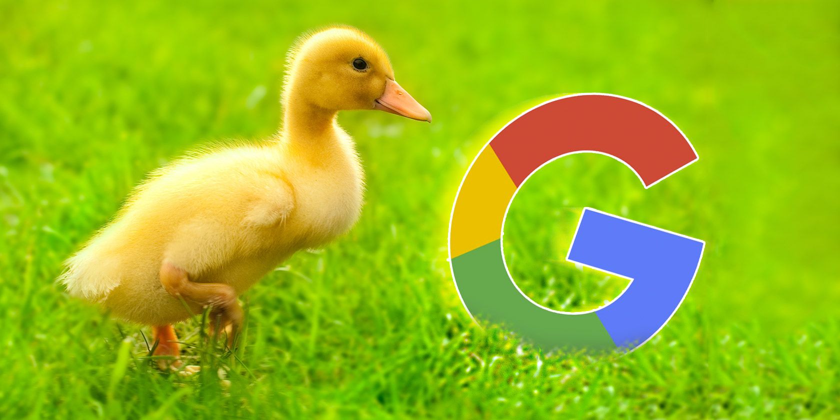 duckduckgo-google