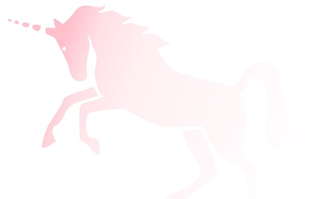invisible pink unicorn