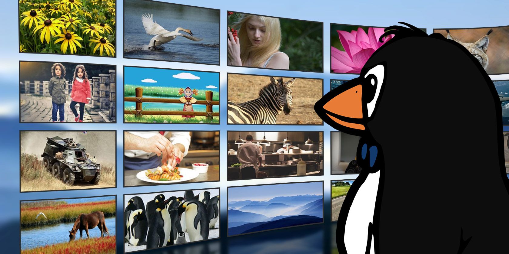streaming-video-linux