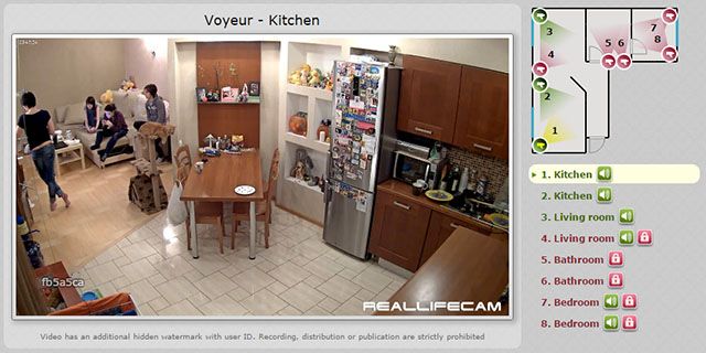 webcam-facts-creative-exhibition