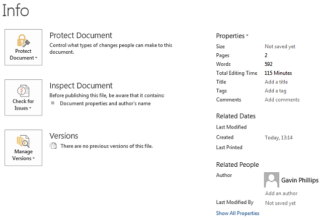 Microsoft Word 2013 Document Information