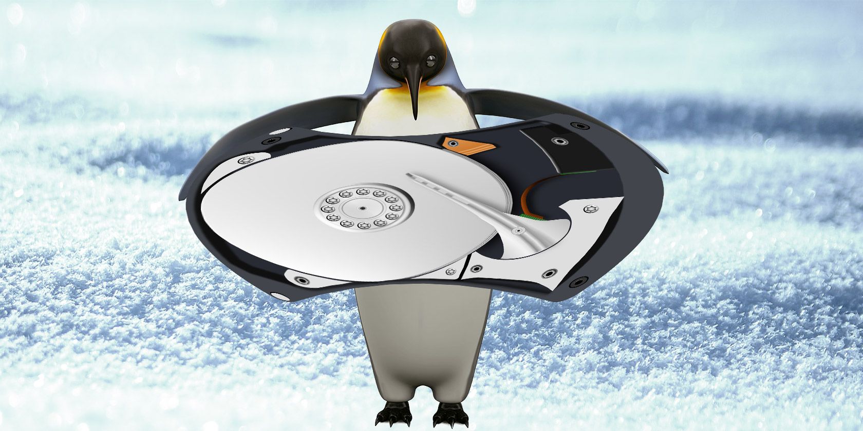 penguin carrying a hard disk